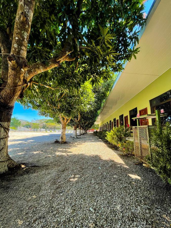 Hotel El Regalo Nicoya Zewnętrze zdjęcie